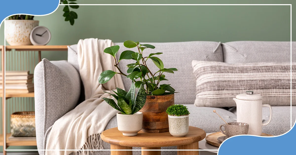 Interior solutions for an apartment - the open concept trend
