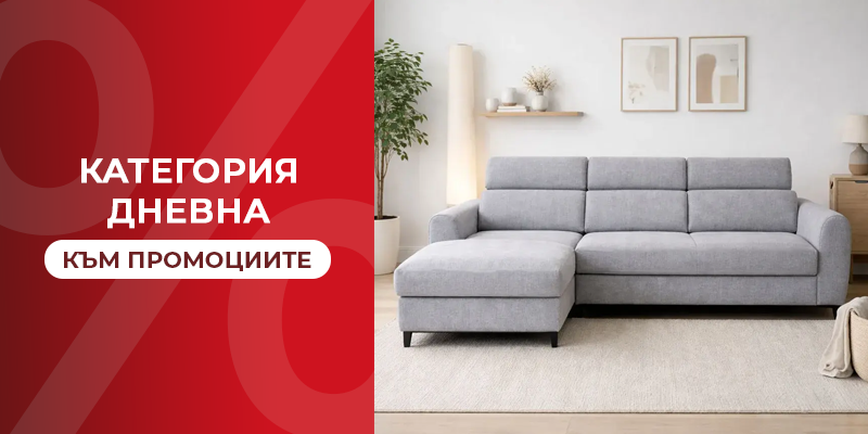 Категория Дневна